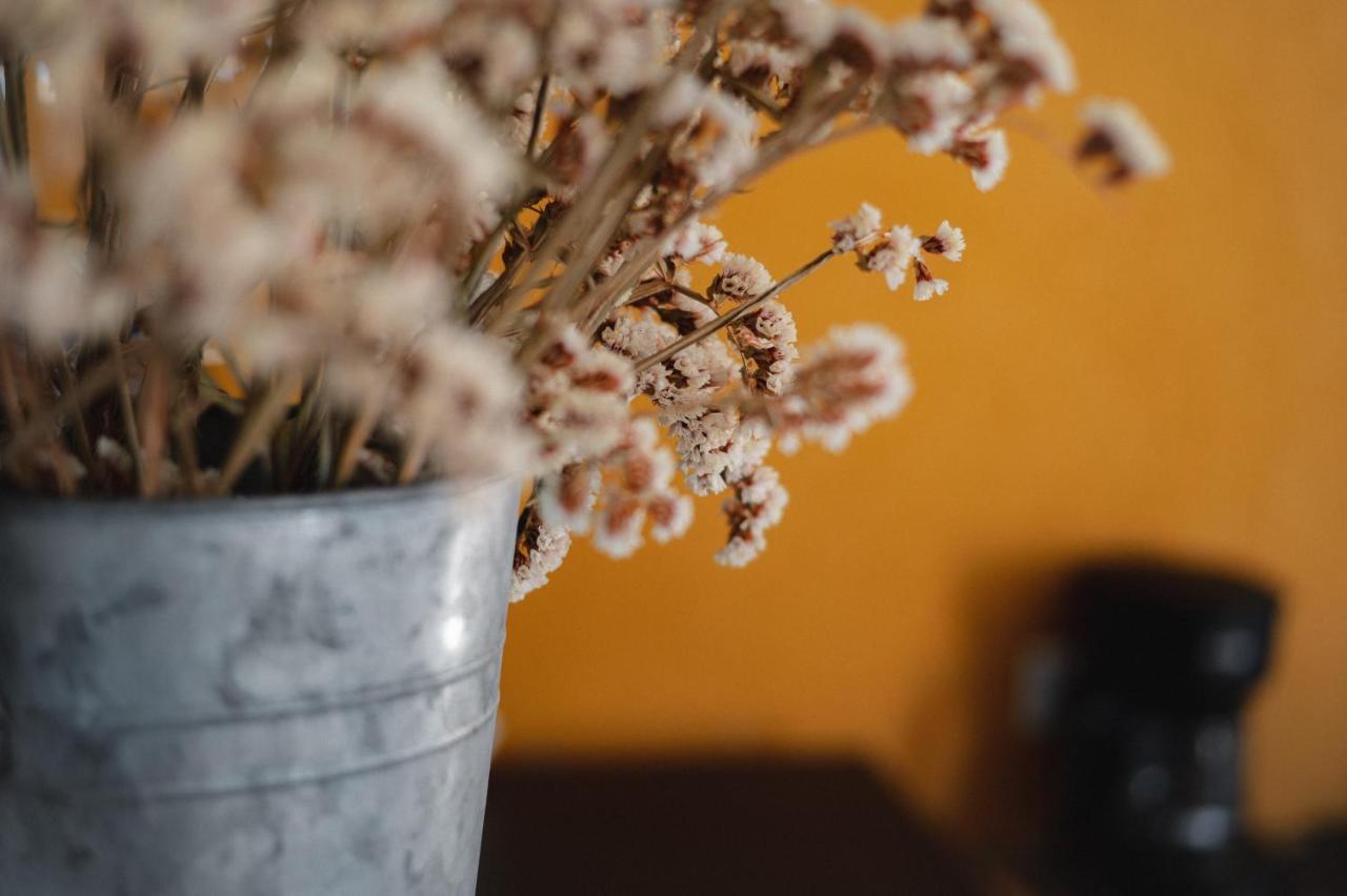 Vina Calabria Bed & Breakfast Valle de Guadalupe Exterior photo